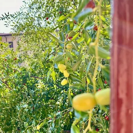 Apartment Da Antonella *