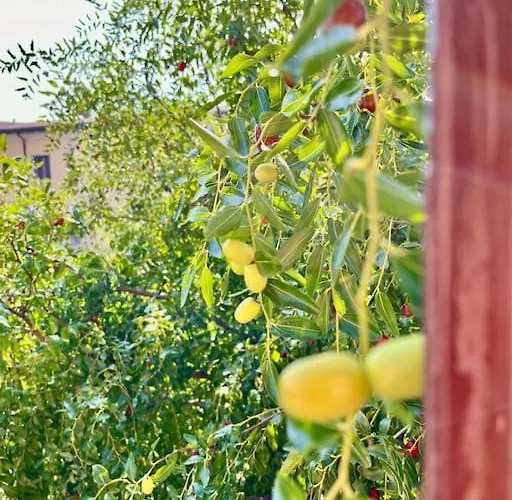 아파트 Da Antonella *