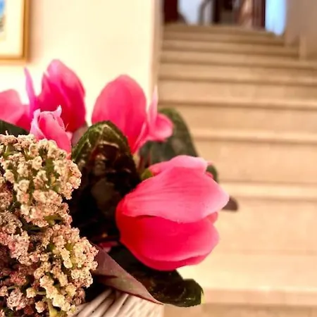 Da Antonella Appartamento *